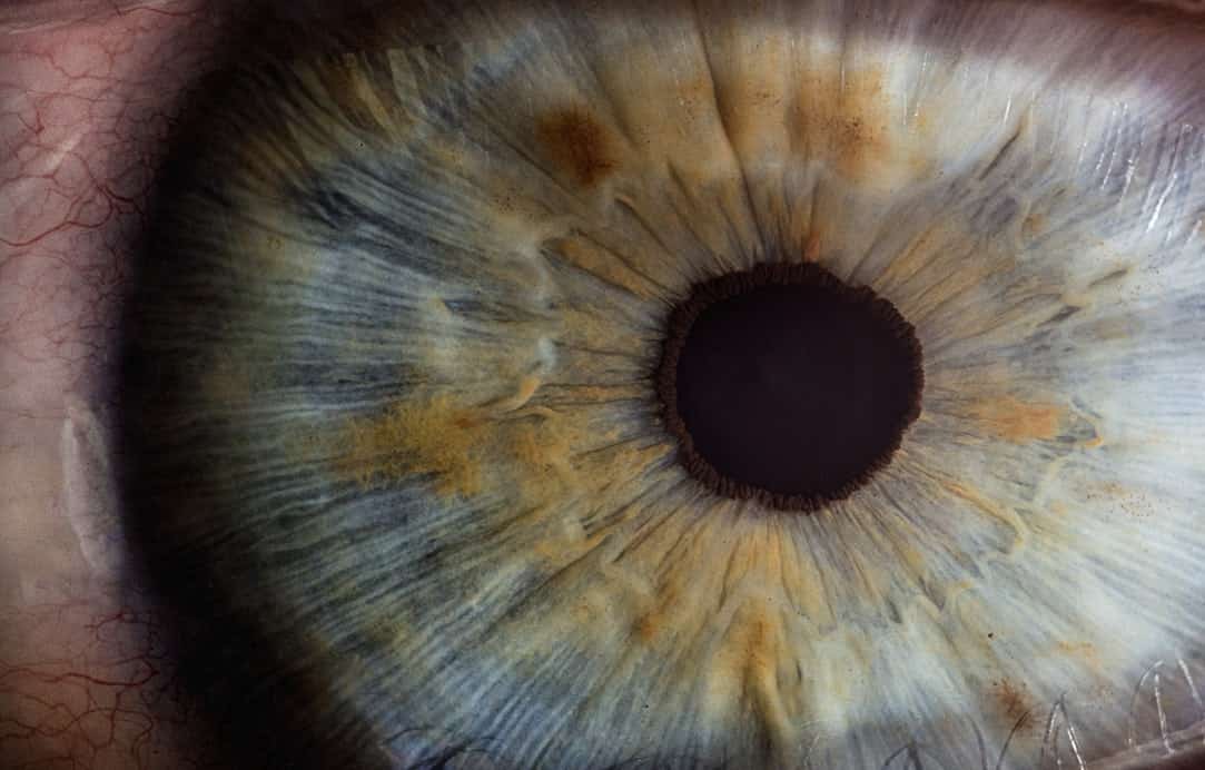 How to know if you're being watched online?