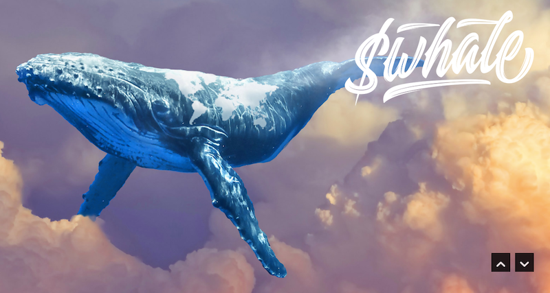 $Whale